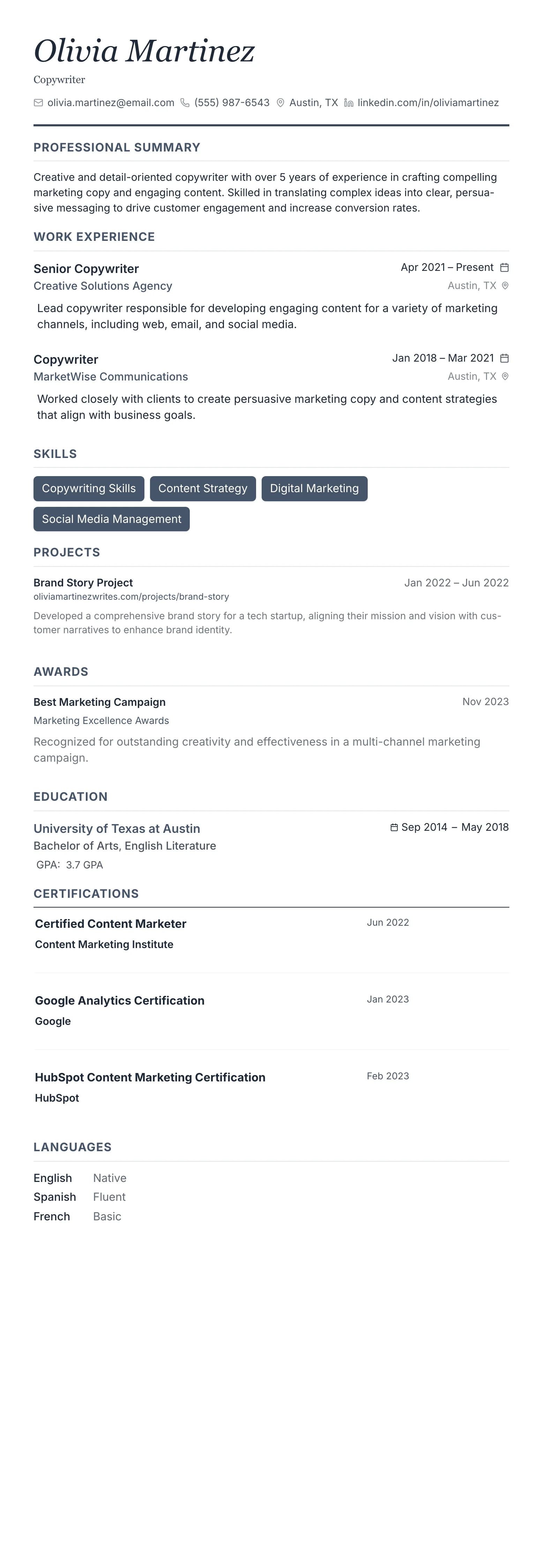 Monochrome Professional template preview
