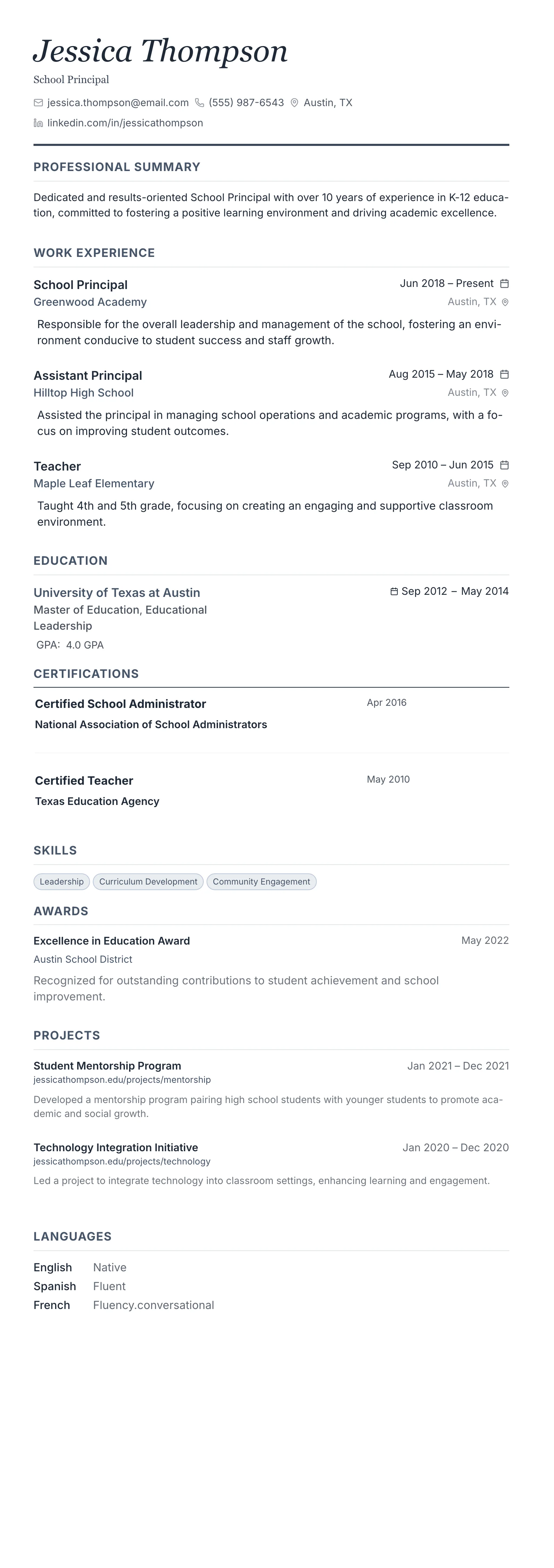 Monochrome Professional template preview