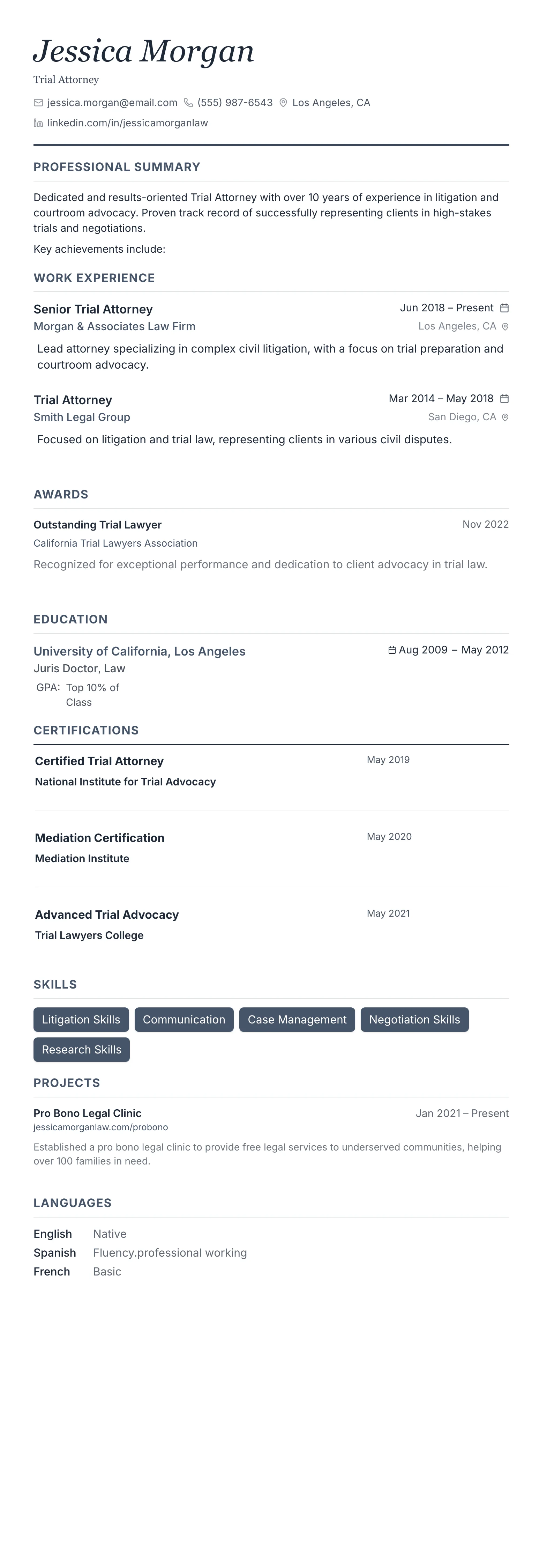 Monochrome Professional template preview