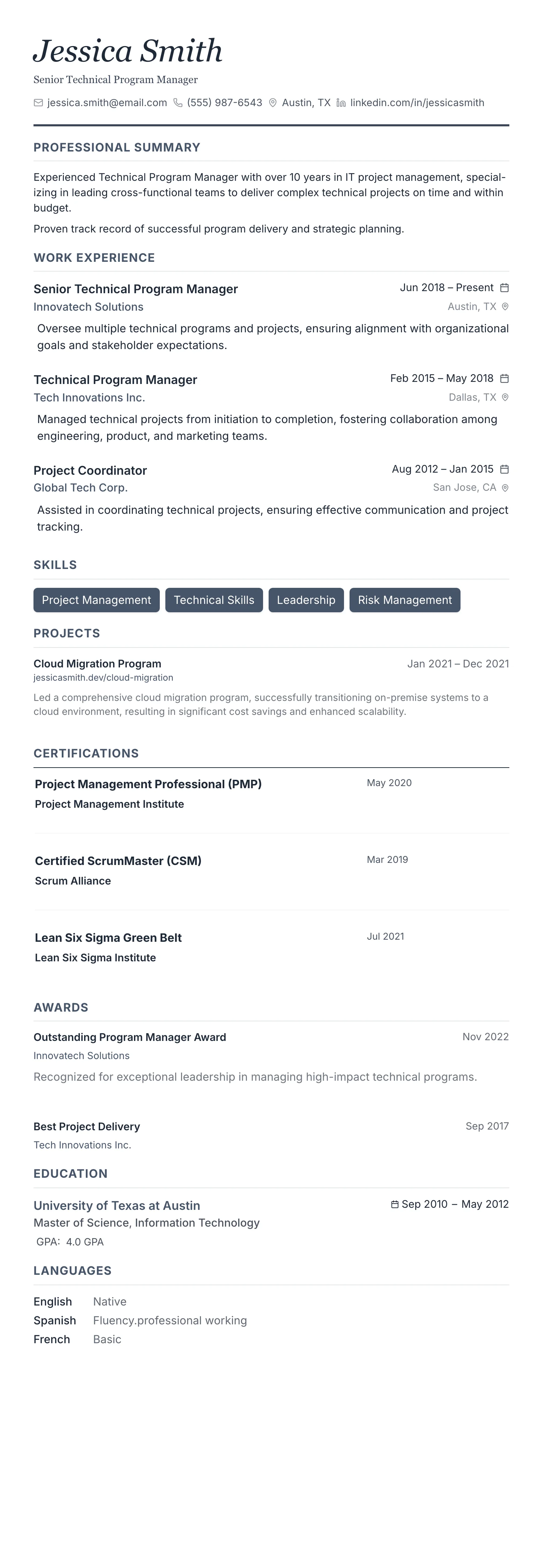 Monochrome Professional template preview