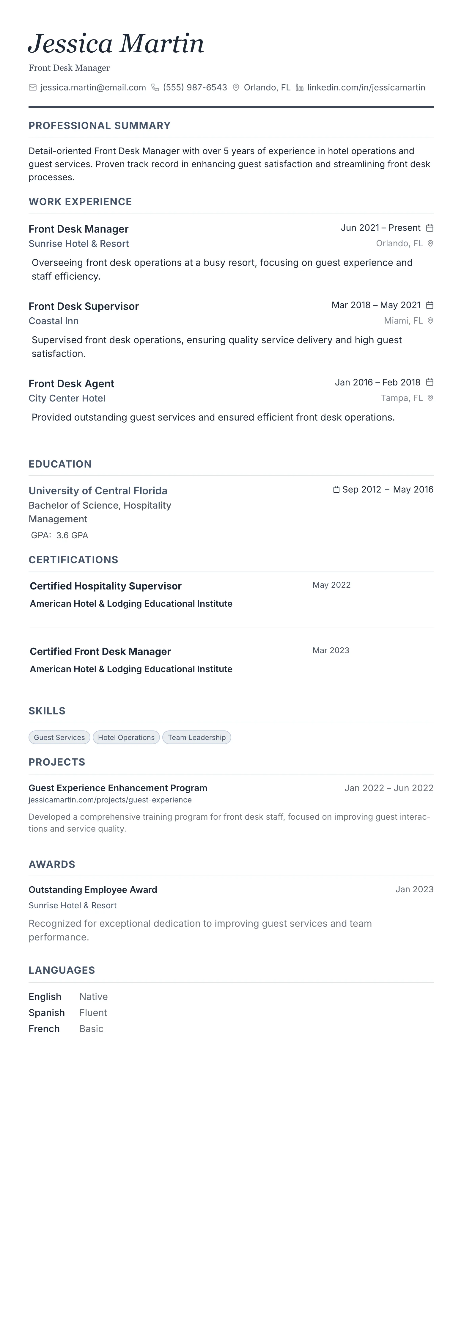 Monochrome Professional template preview
