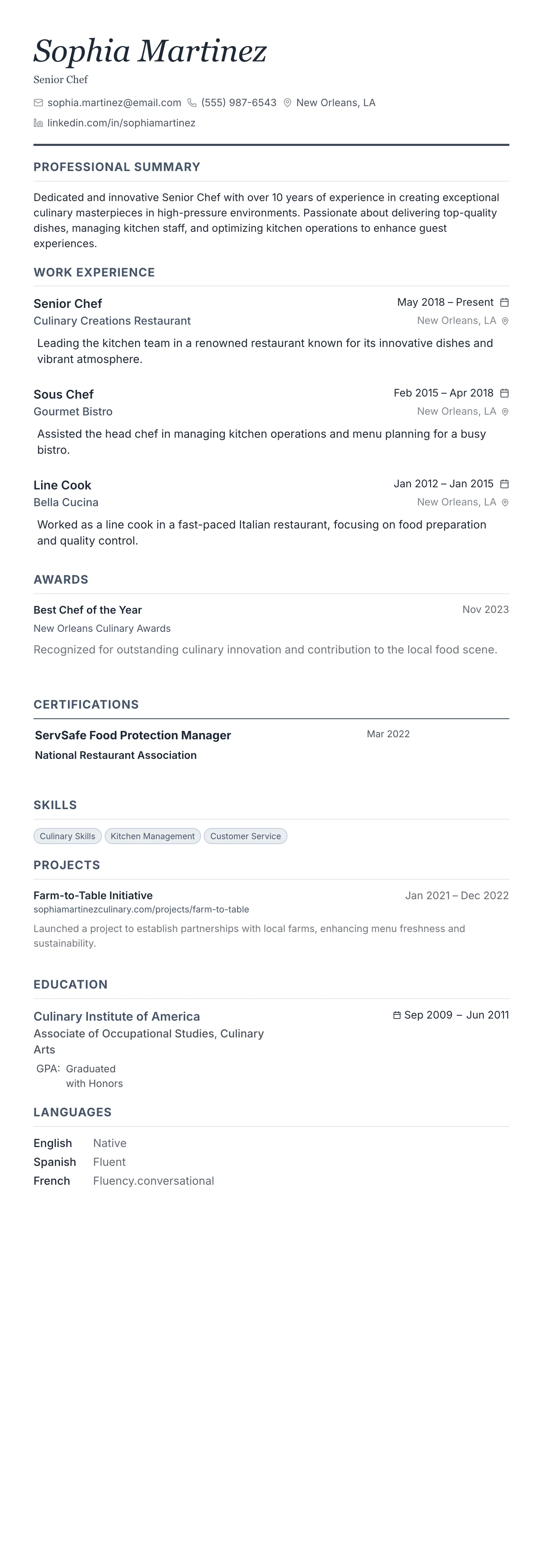 Monochrome Professional template preview