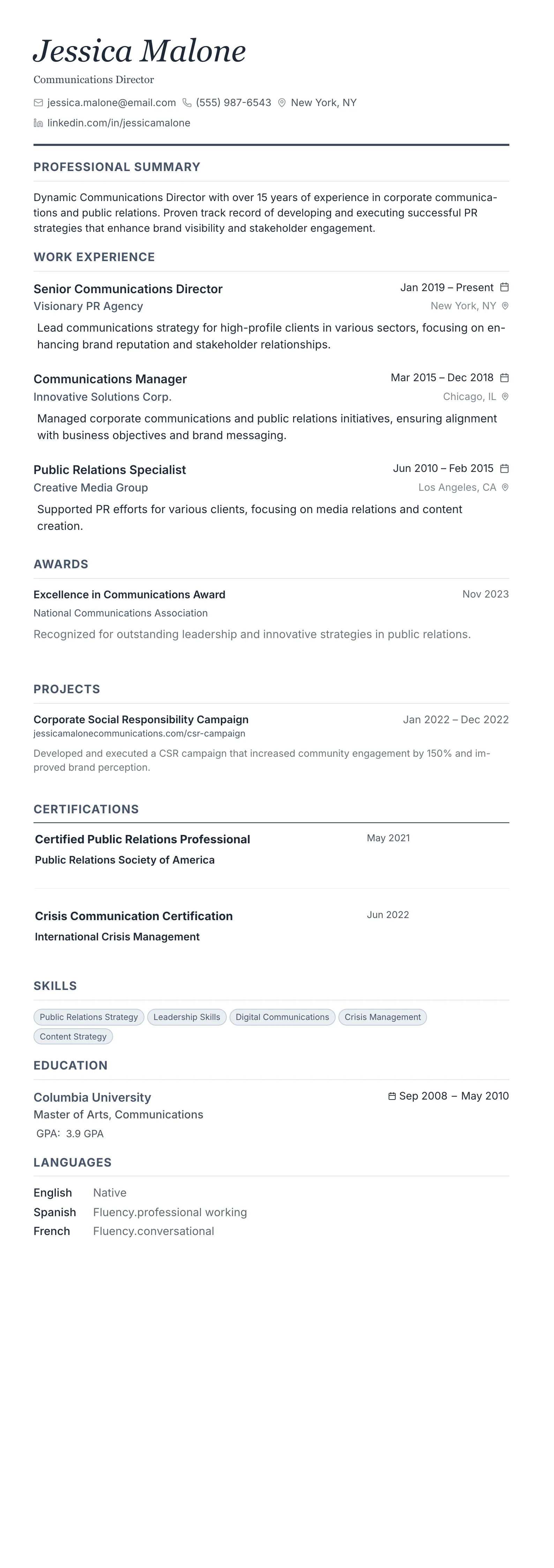 Monochrome Professional template preview