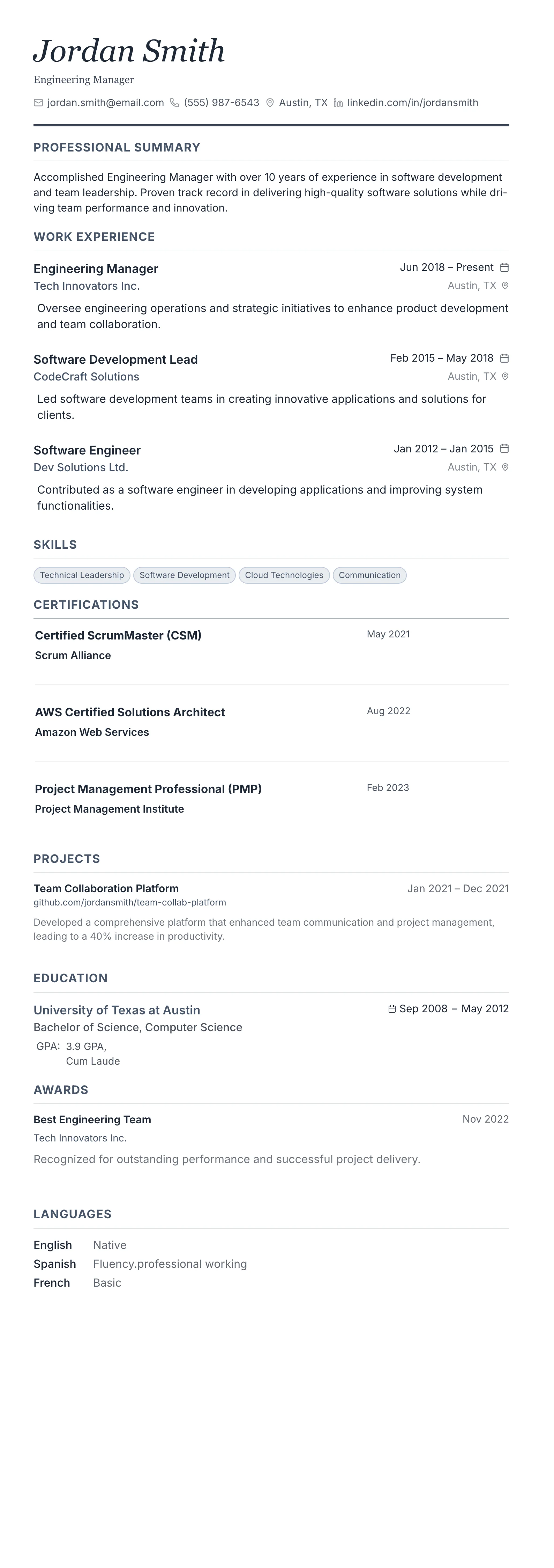 Monochrome Professional template preview