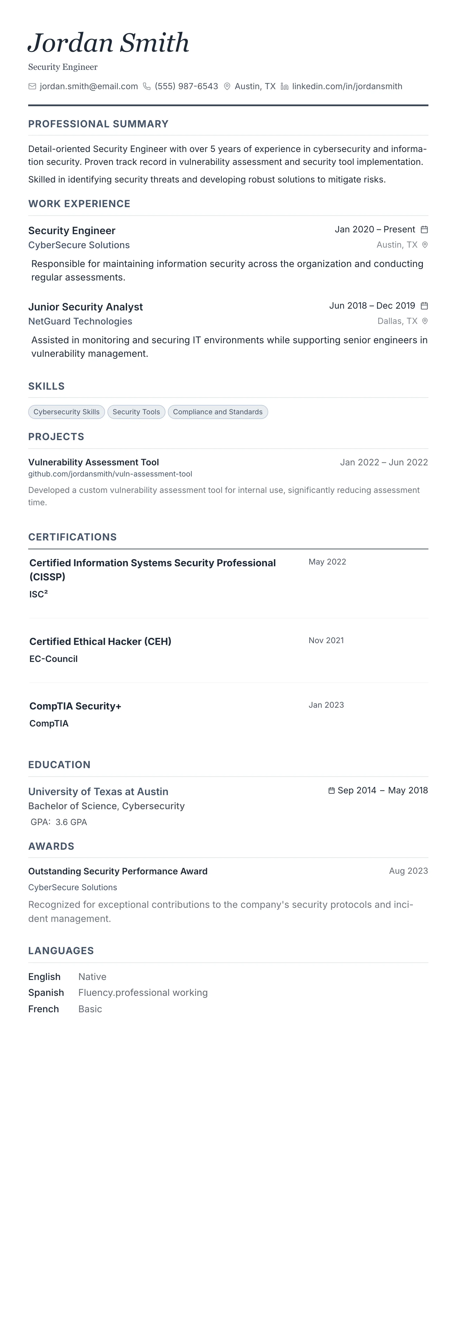 Monochrome Professional template preview