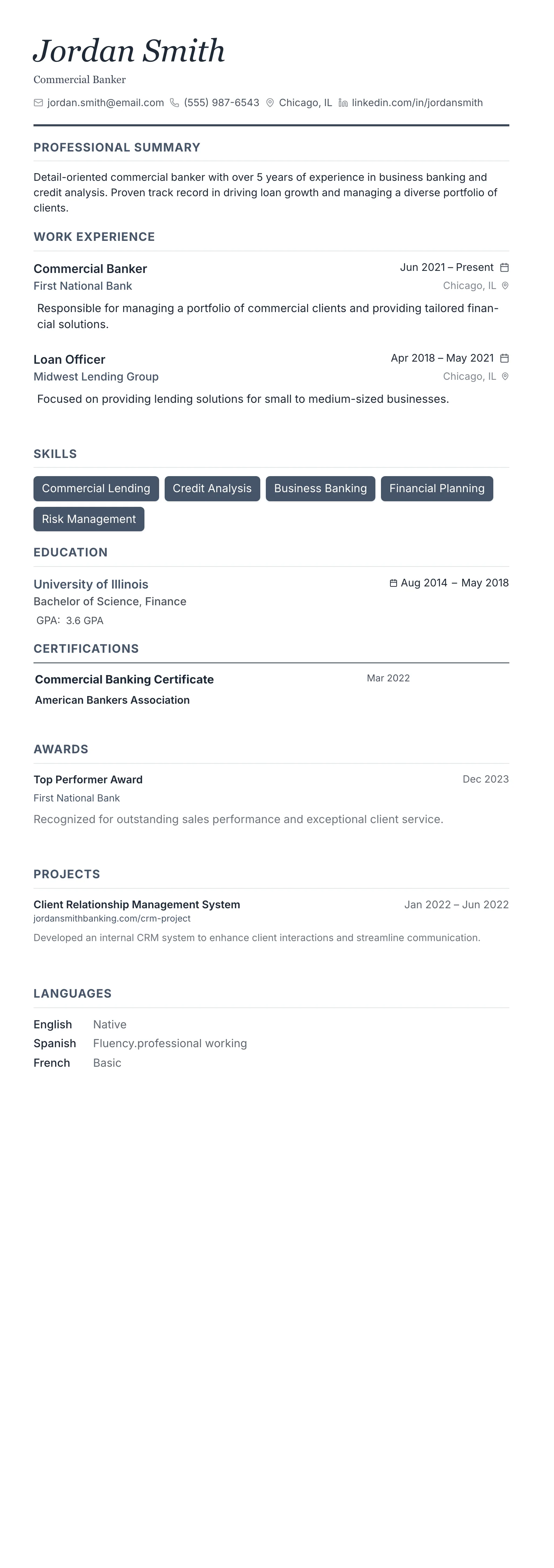 Monochrome Professional template preview