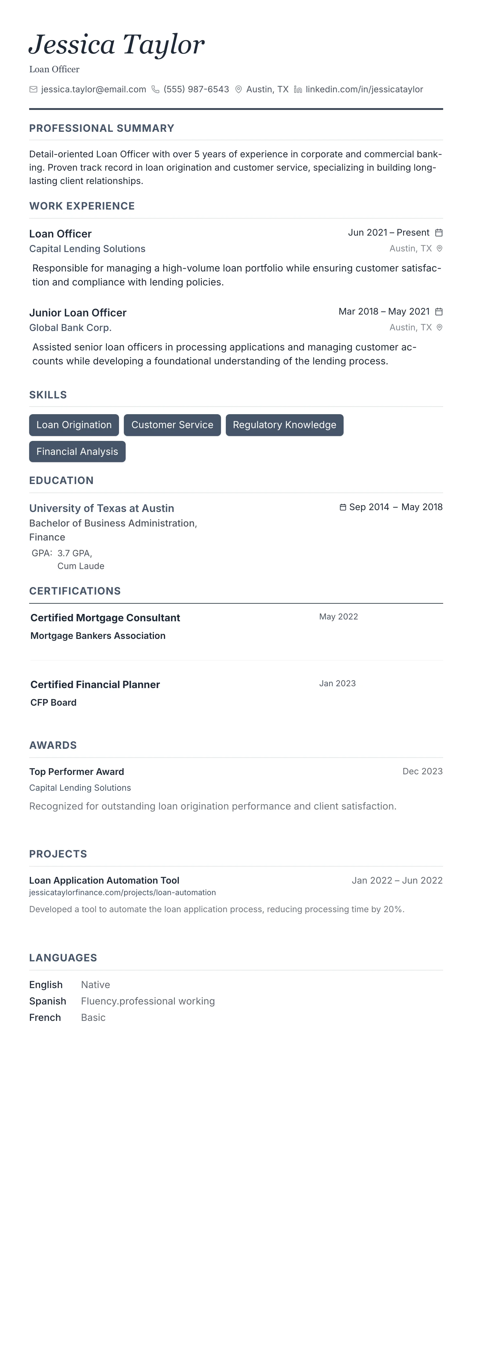 Monochrome Professional template preview