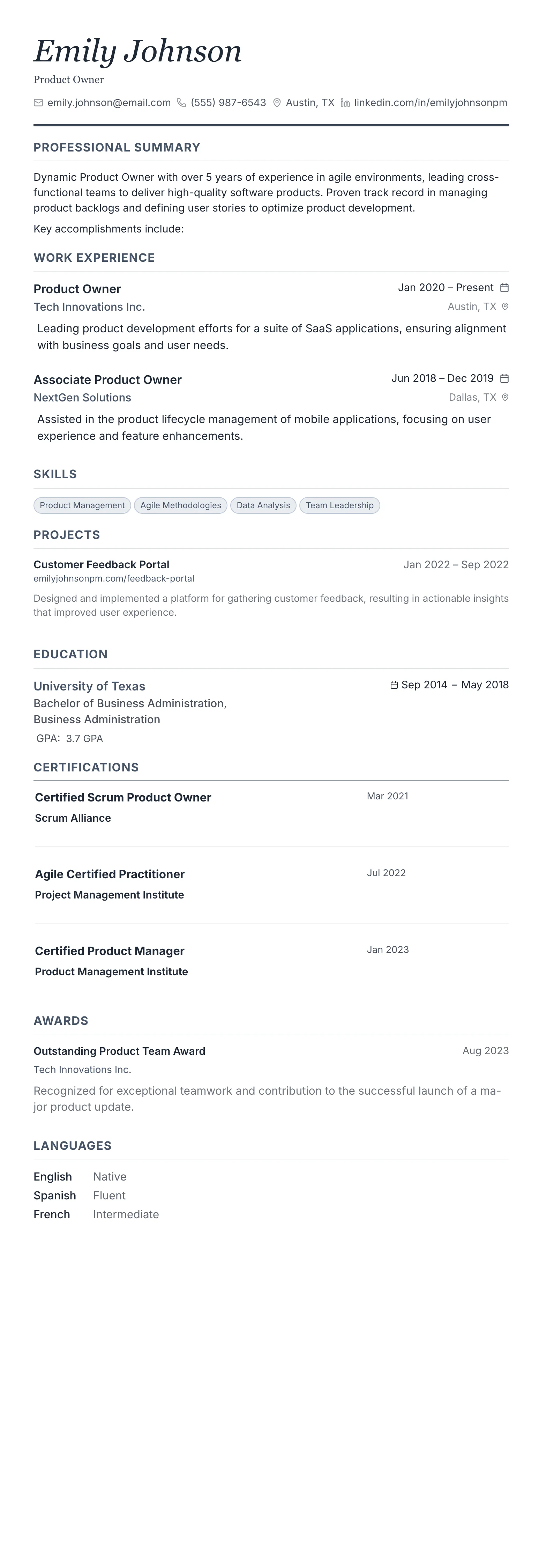 Monochrome Professional template preview