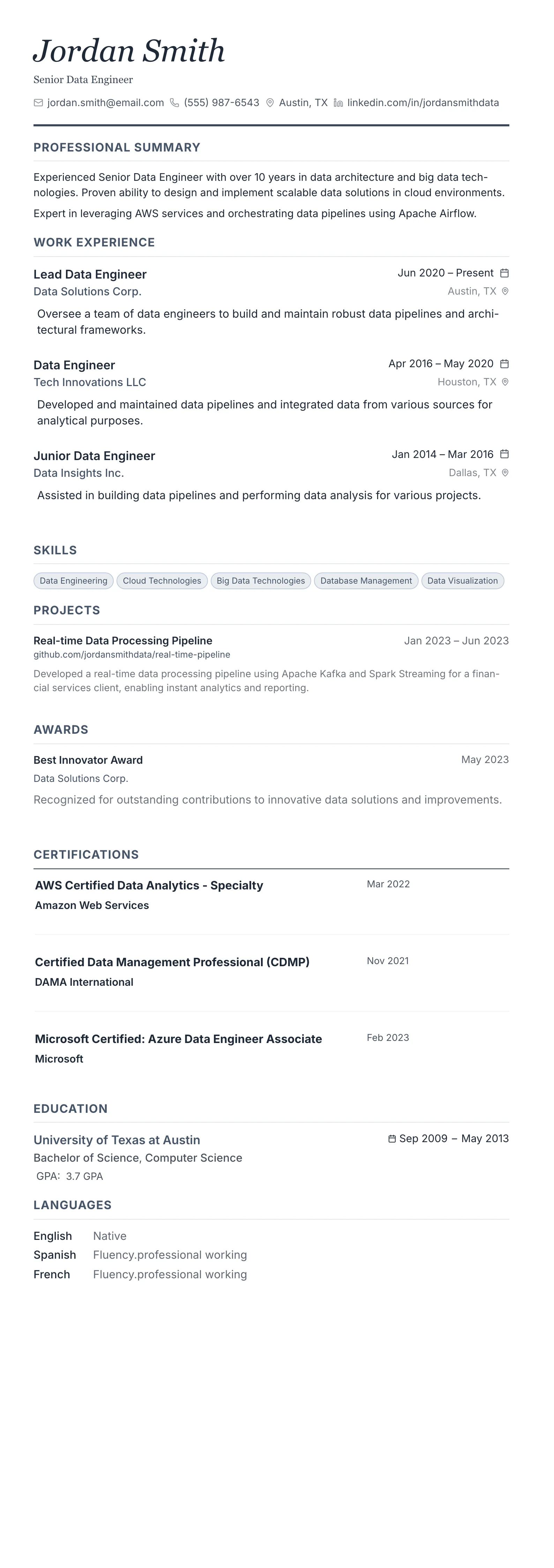 Monochrome Professional template preview