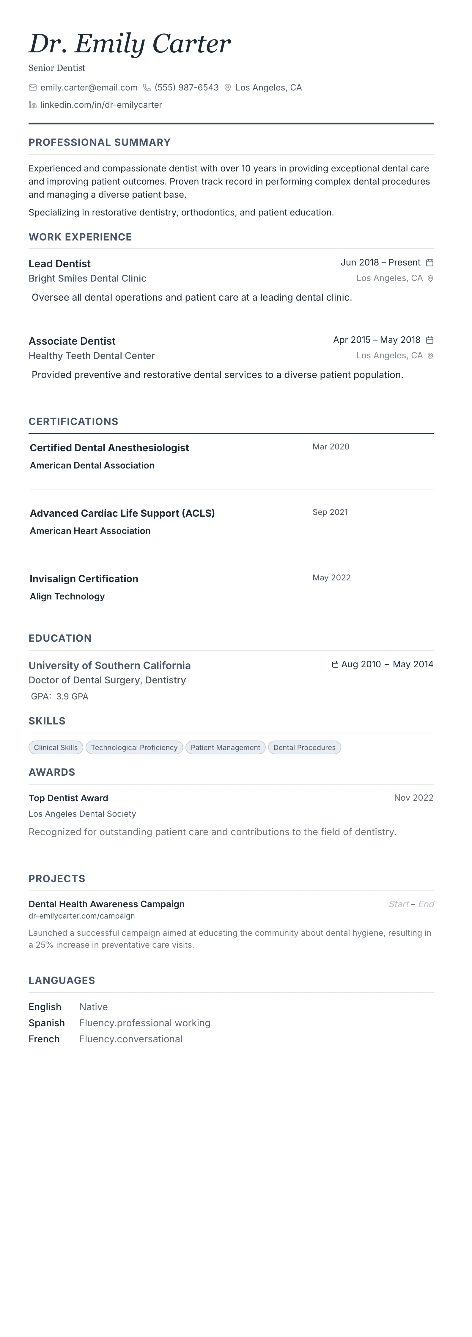 Monochrome Professional template preview