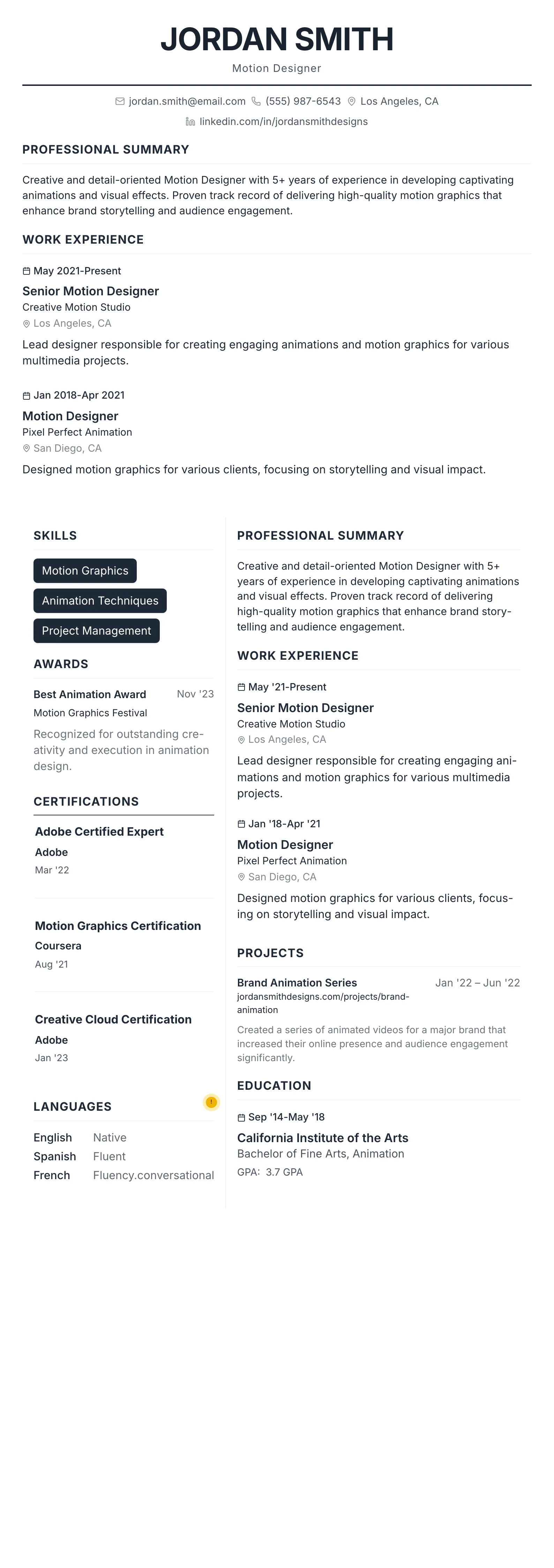 Professional template preview