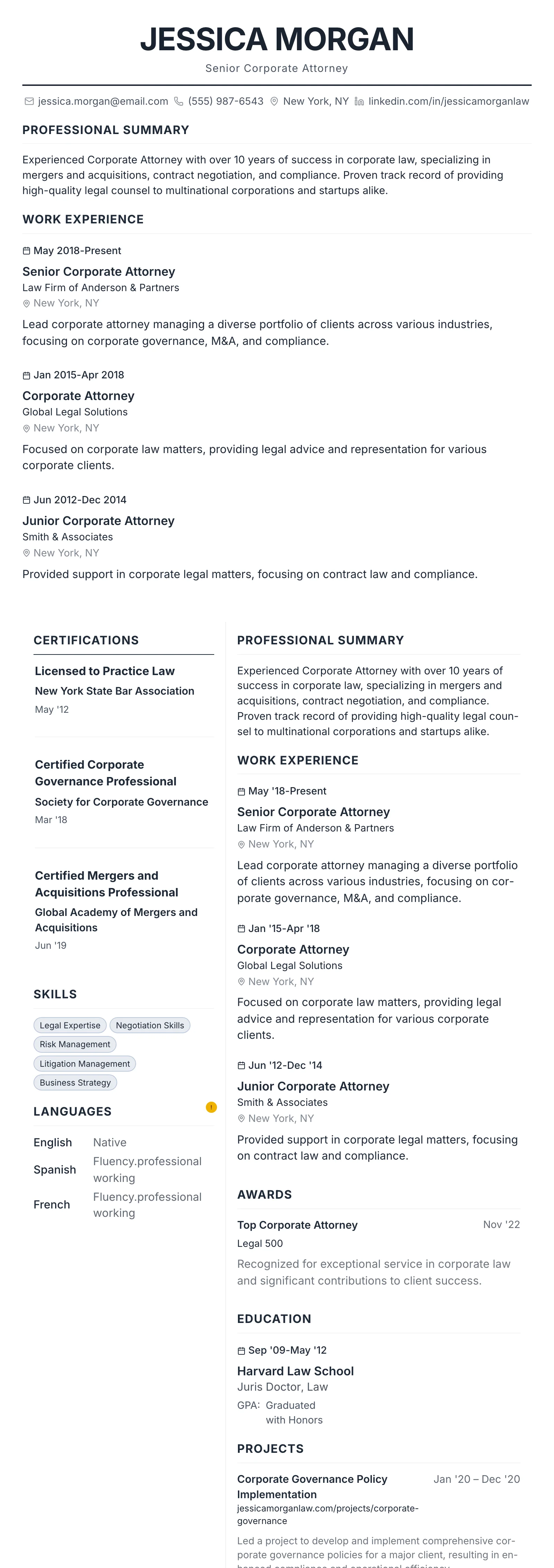 Professional template preview