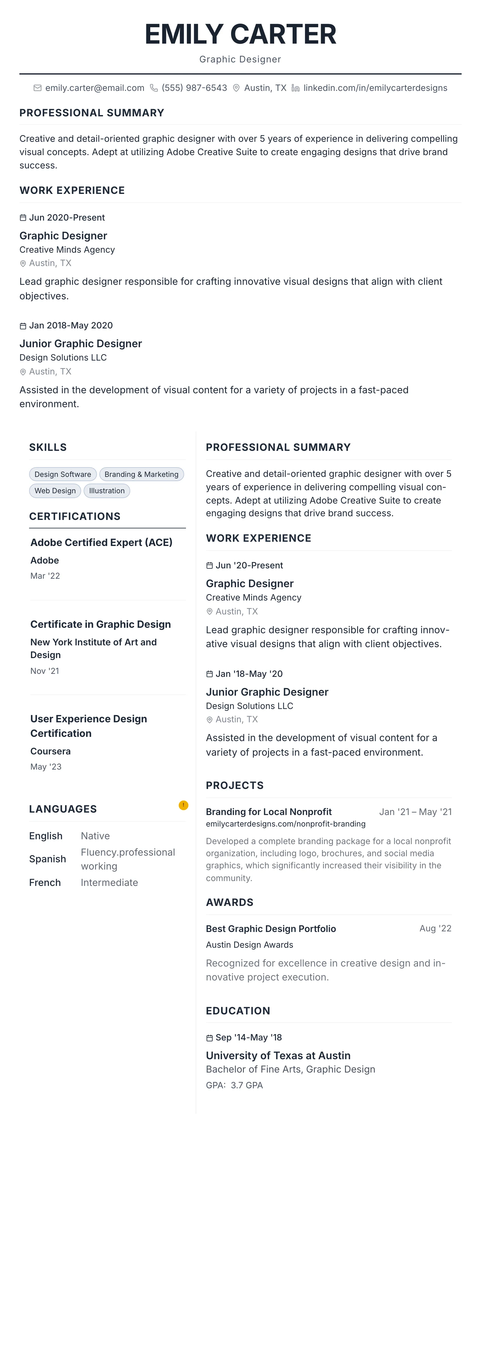 Professional template preview