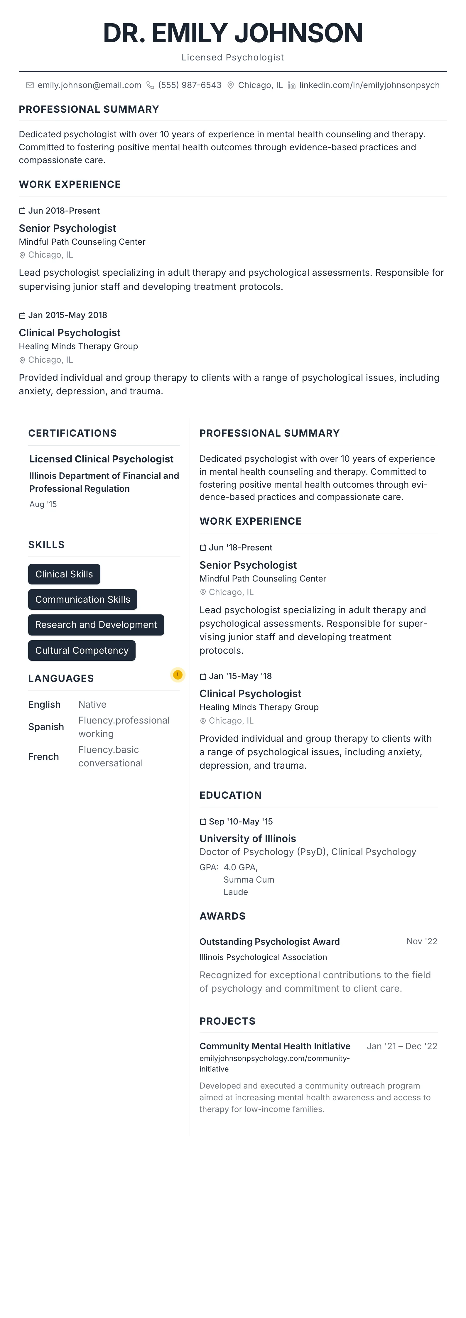 Professional template preview