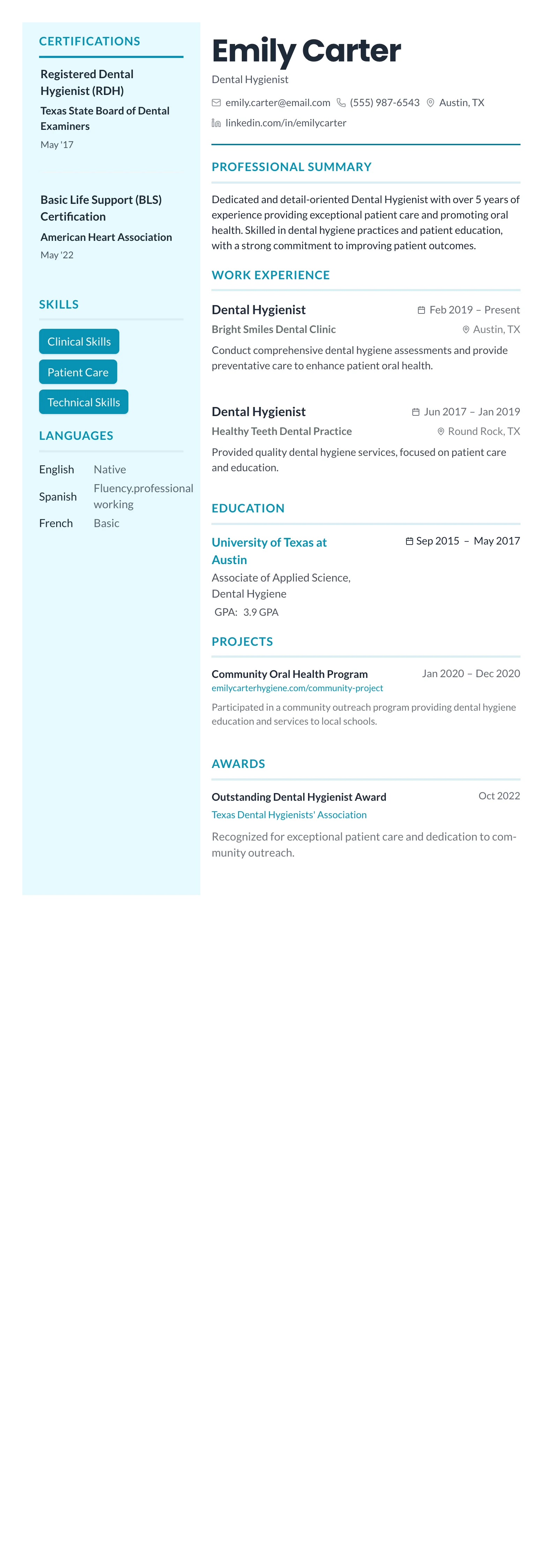 Teal Sidebar Modern template preview