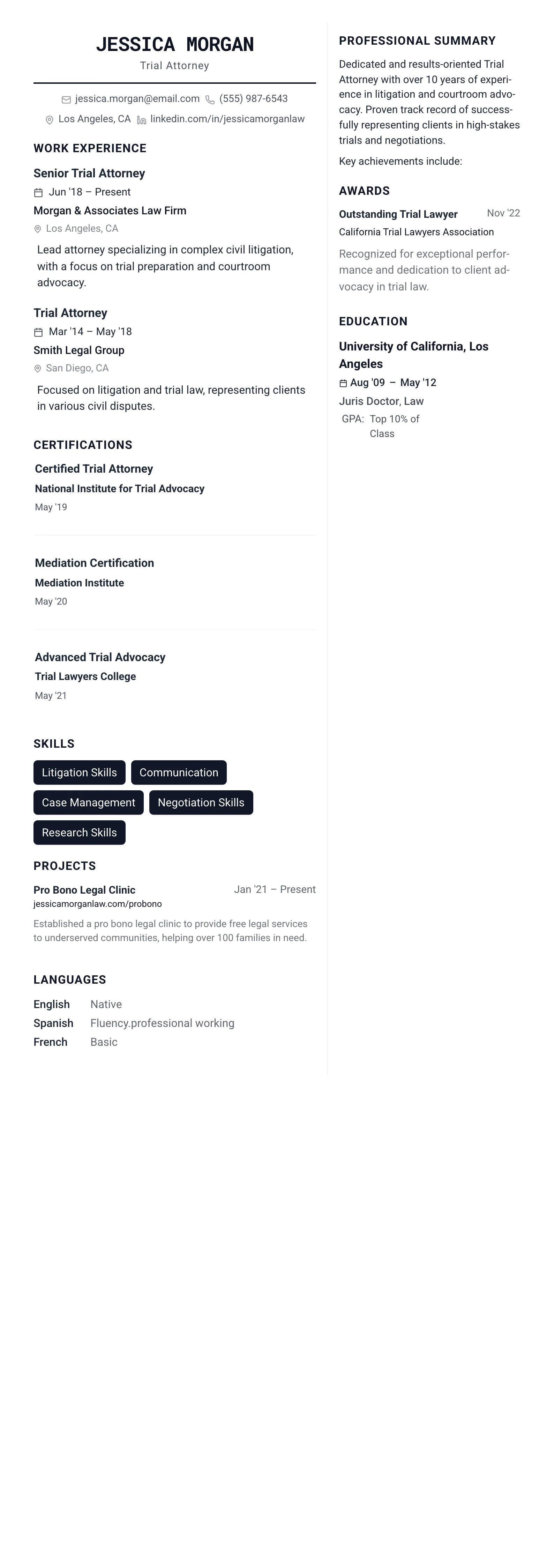 The Architect template preview