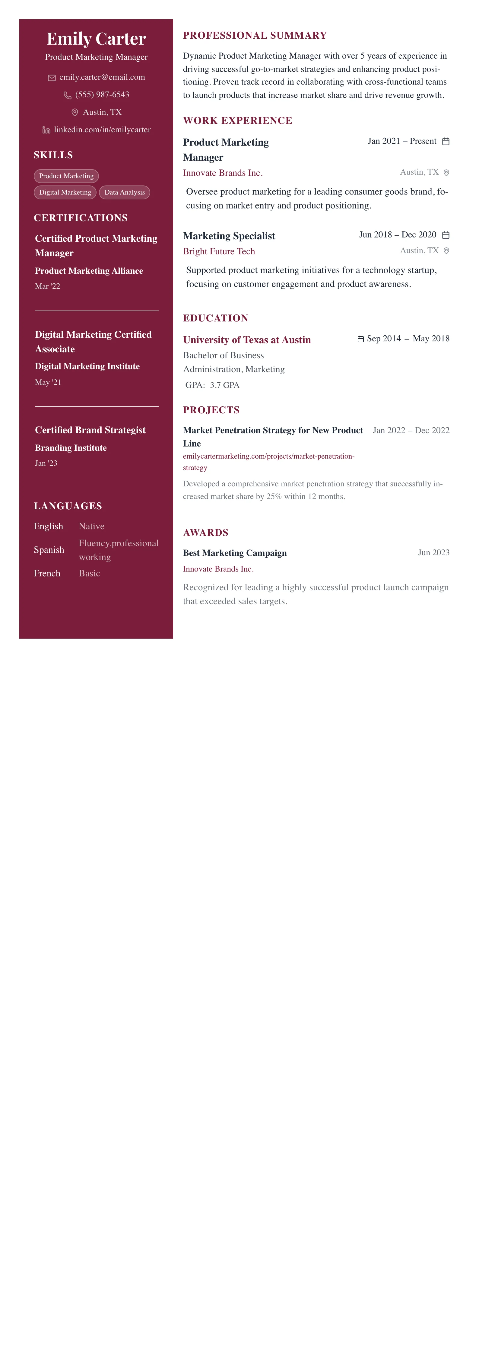 The Dark Executive template preview